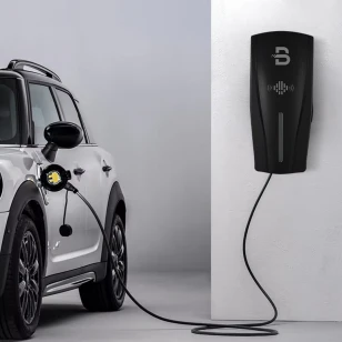 Зарядная станция Beny BCP-AT2N-L 22kWt T2 DLB